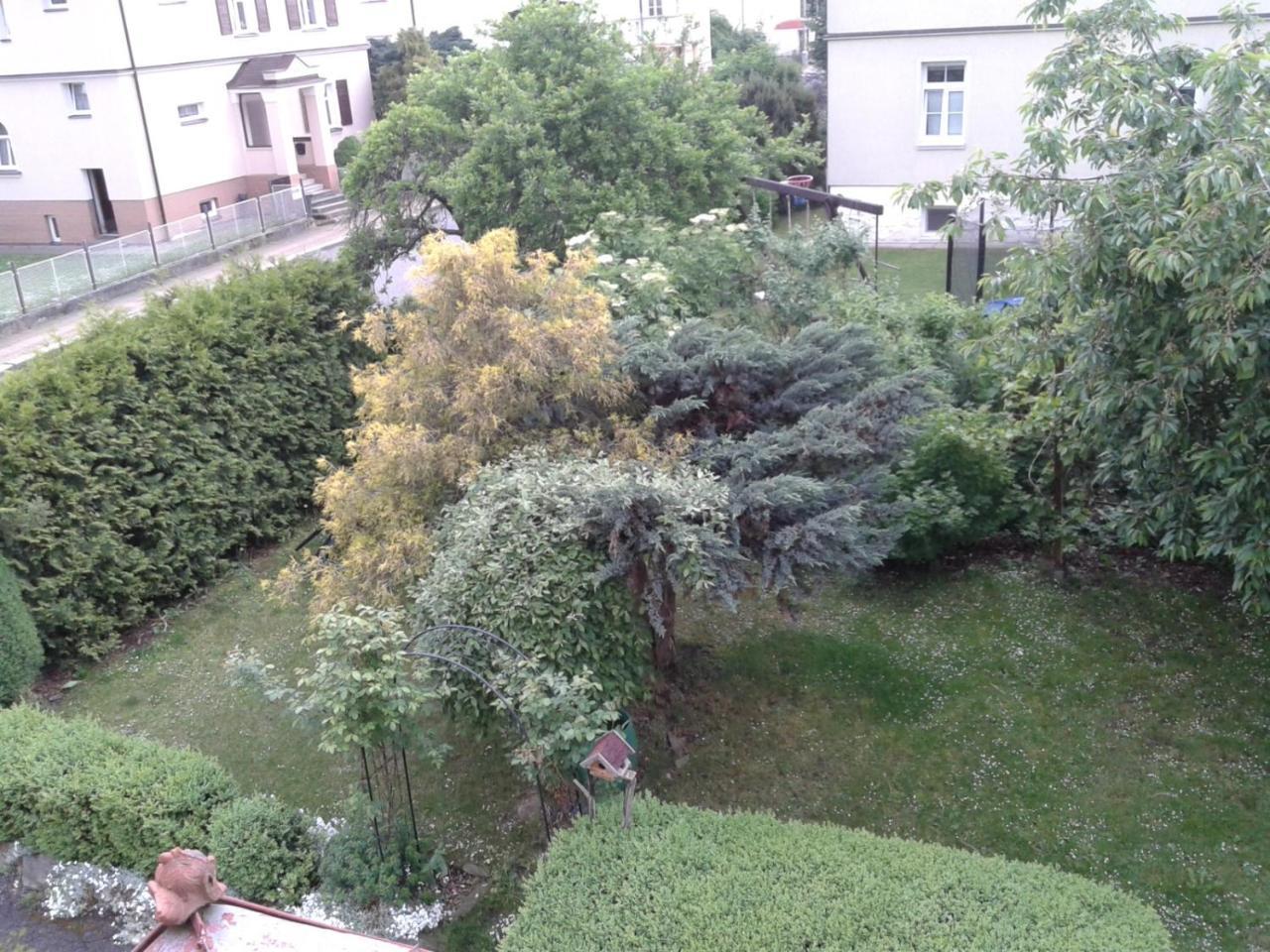 Villa Shafaly Mariańskie Łaźnie Zewnętrze zdjęcie